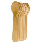 Biodegradable Wooden Spoons 100 3