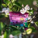 Freddies Farm Fruit Shapes Raspberry 16 X 20g 2
