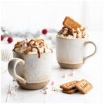 Lotus Biscoff Biscuit Crumbs 750g 3