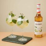 MONIN Elderflower Syrup 70cl 2