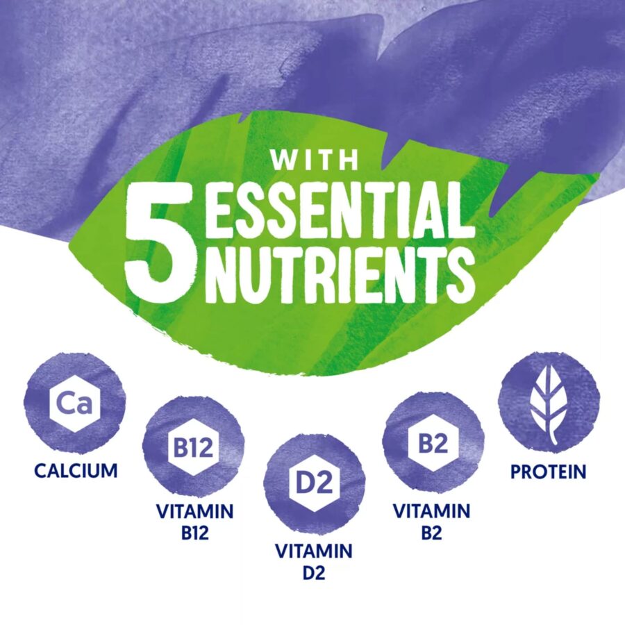 Alpro-Blueberry-Dairy-Free-Soya-Yoghurt-Alternative-500g-2