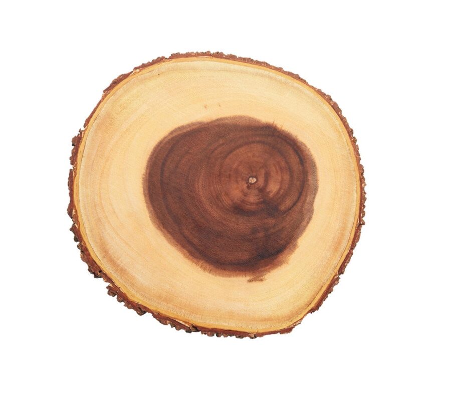 Artesa-Rustic-Small-Wooden-Serving-Board-1