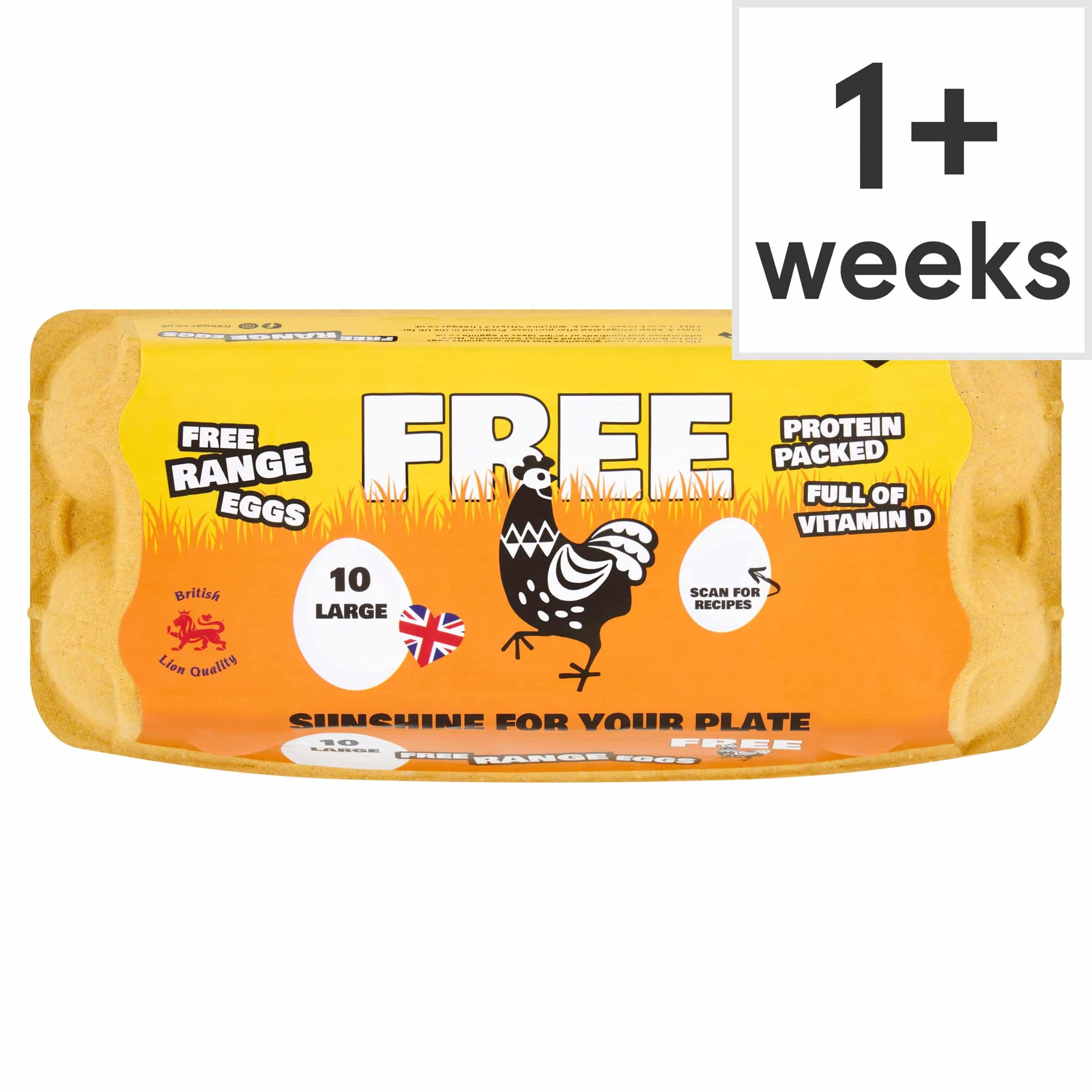 Big-Free-Large-White-Free-Range-Eggs-10-Pack