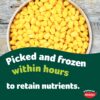 Birds-Eye-Supersweet-Sweetcorn-640G-2