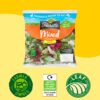 Florette-Mixed-Salad-125G-2
