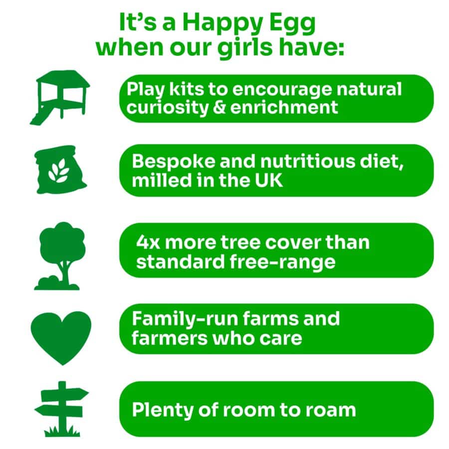 Happy-Egg-Co.-Free-Range-Eggs-10-Mixed-Weight-3