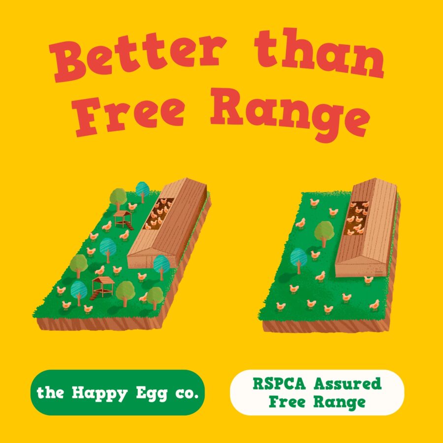 Happy-Egg-Free-Range-Eggs-Large-6-Pack-2