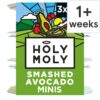 Holy-Moly-Smashed-Avocado-3-x-57g-1