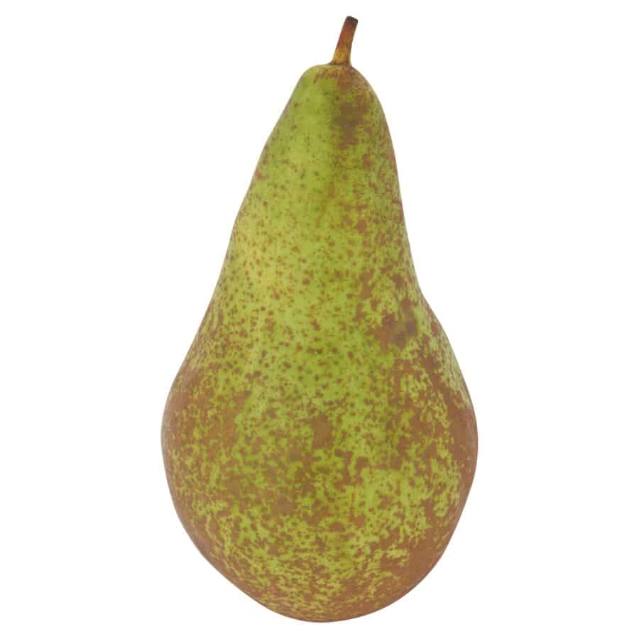 Large-Conference-Pears-Class-1-Loose