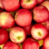 Large-Pink-Lady-Apples-Loose-Class-1-2