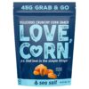 LoveCorn-Sea-Salt-Roasted-Corn-Snack-45G-1
