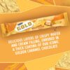 McVities-Gold-Billions-Wafer-Golden-Caramel-Chocolate-39g-3
