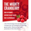 Ocean-Spray-Cranberry-Classic-Light-Juice-Drink-1-Litre-2