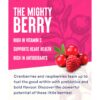 Ocean-Spray-Cranberry-Raspberry-Juice-Drink-1-Litre-2