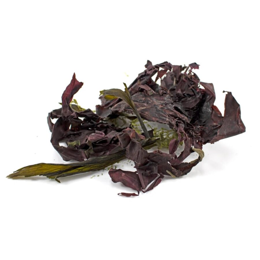 Organic-Sea-Salad-100g-Sussex-Wholefoods-Multi-1