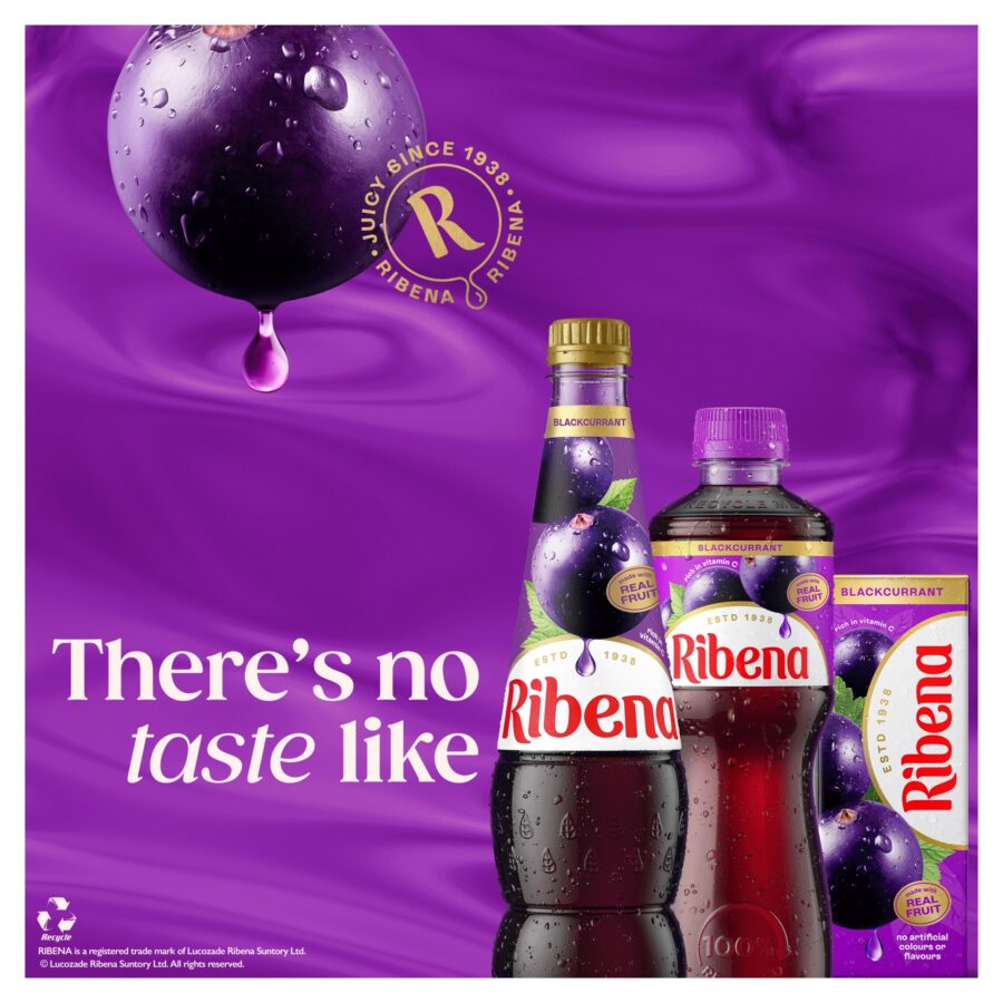 Ribena-Blackcurrant-Juice-Drink-500ml-2