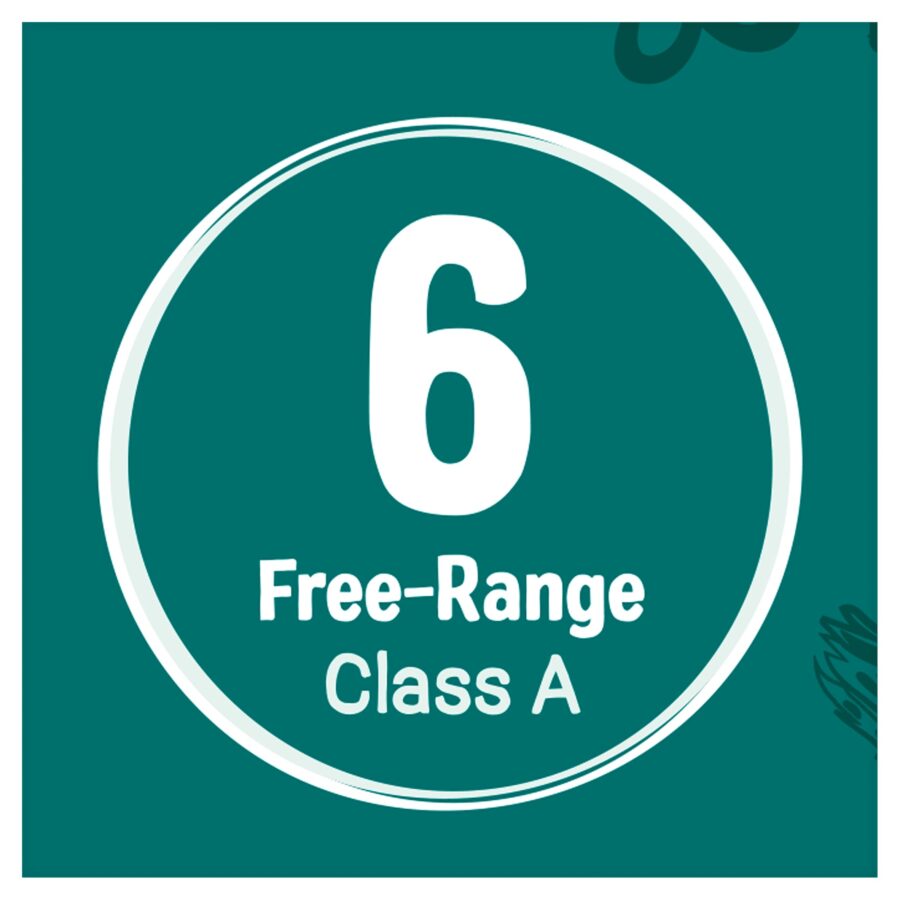 St-Ewe-Super-Eggs-6-Pack-4