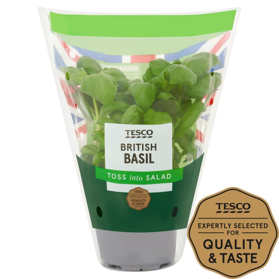 Tesco-Basil-Medium-Pot-1
