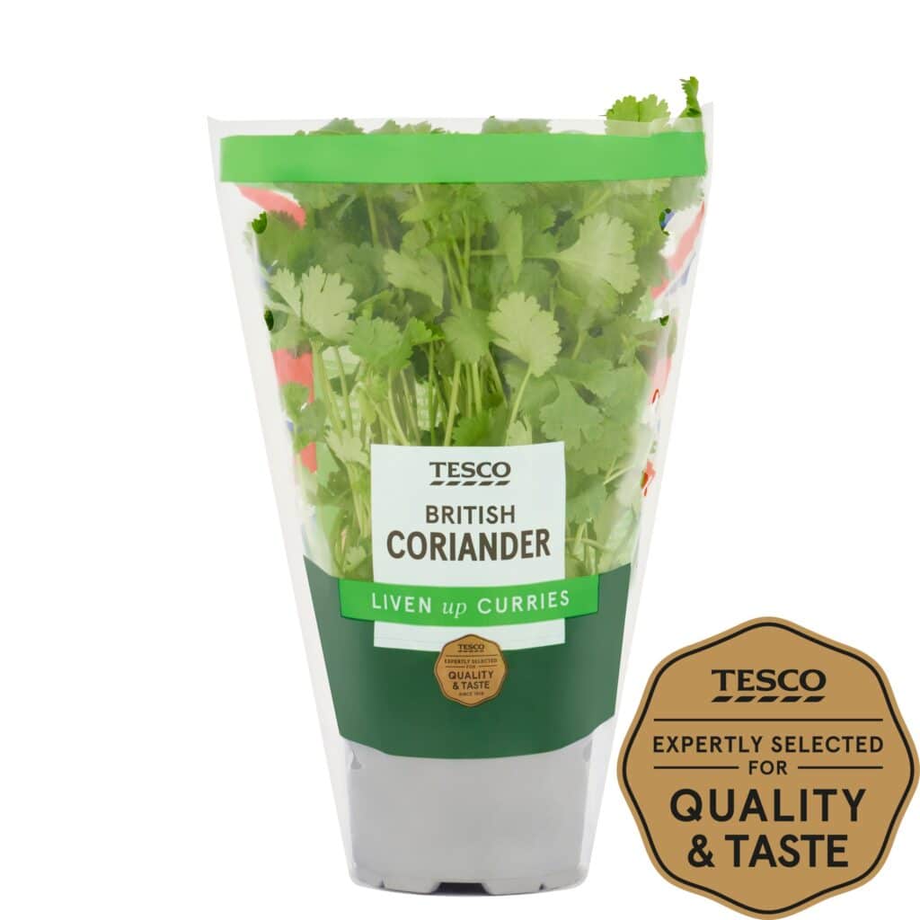 Tesco-Coriander-Medium-Pot