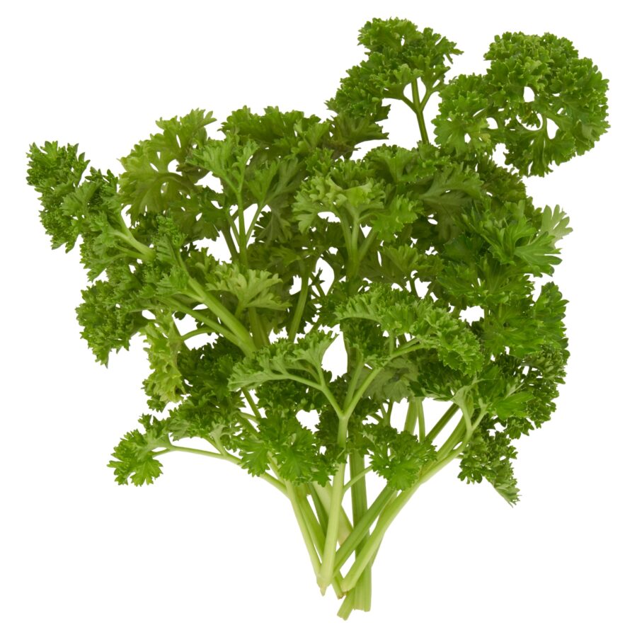 Tesco-Curled-Leaf-Parsley-30g-2