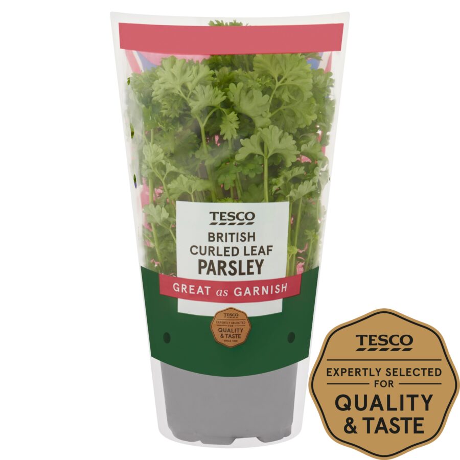 Tesco-Curled-Parsley-Medium-Pot-1