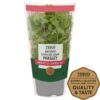Tesco-Curled-Parsley-Medium-Pot