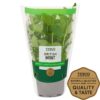 Tesco-Growing-Mint-Medium-Pot-1