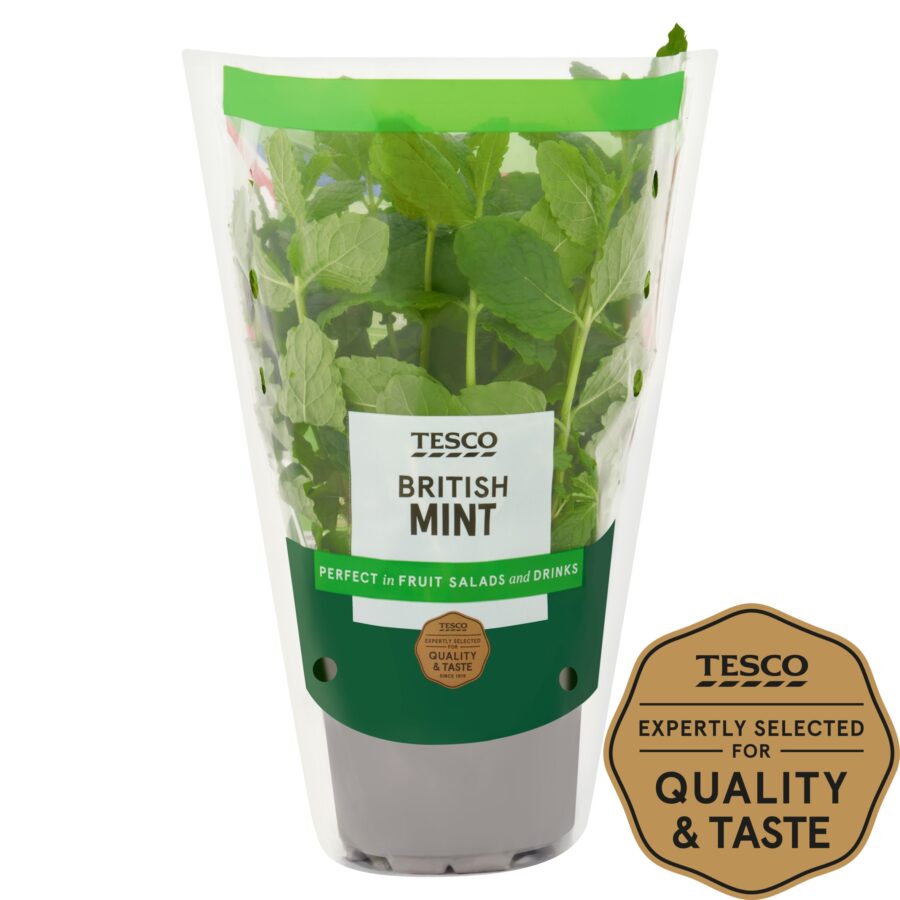 Tesco-Growing-Mint-Medium-Pot