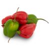 Tesco-Scotch-Bonnet-Chillies-50G-2