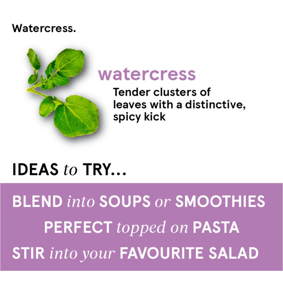Tesco-Watercress-80G-2