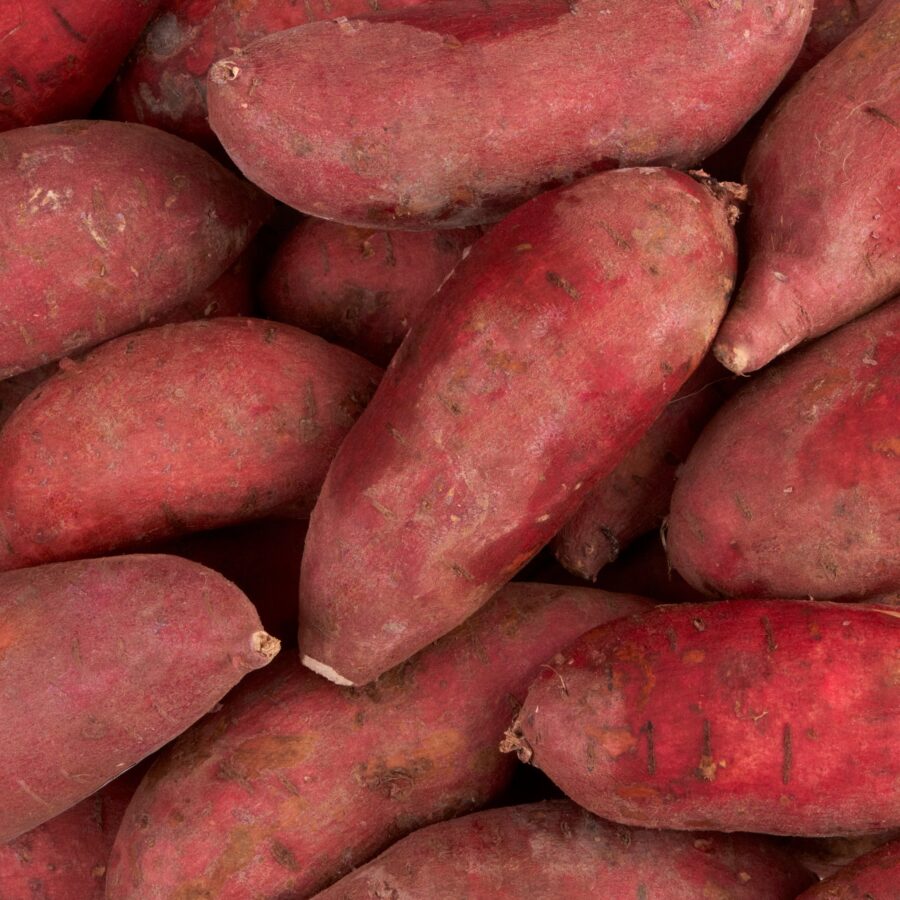 Tesco-White-Flesh-Sweet-Potatoes-Loose-2