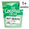 The-Coconut-Collab-Plain-Gut-Health-Coconut-Yoghurt-350g-1