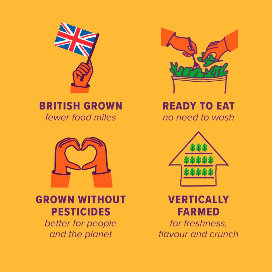 Unbeleafable-Mixed-Baby-Leaves-80g-3