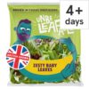Unbeleafable-Zesty-Baby-Leaves-80g