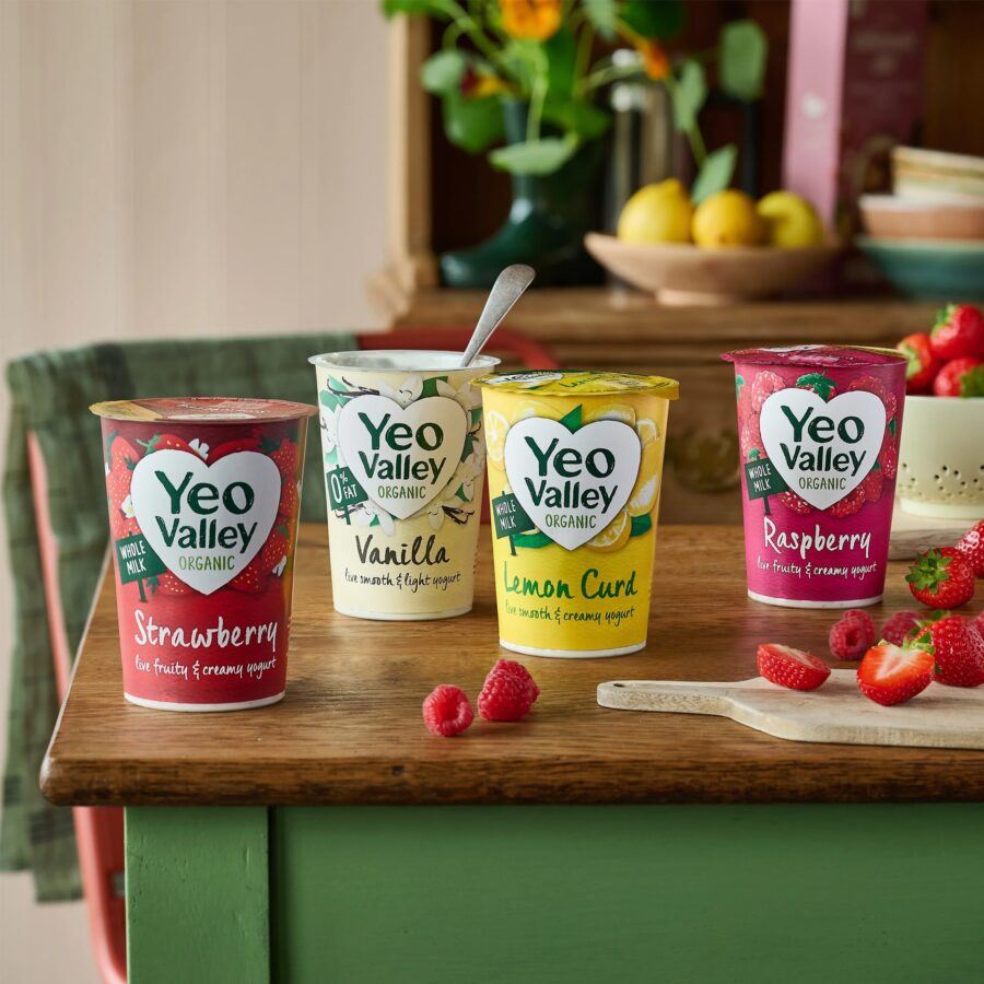 Yeo-Valley-0-Fat-Vanilla-Yogurt-450G-3