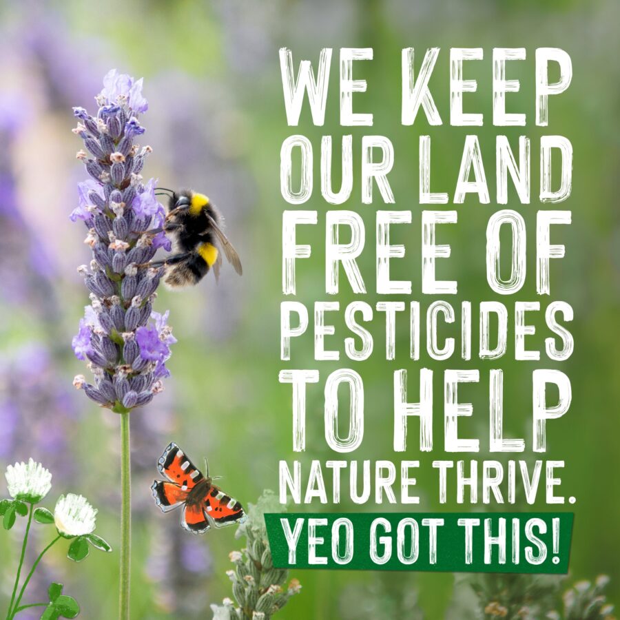 Yeo-Valley-Organic-Free-Range-Whole-Milk-1L-3